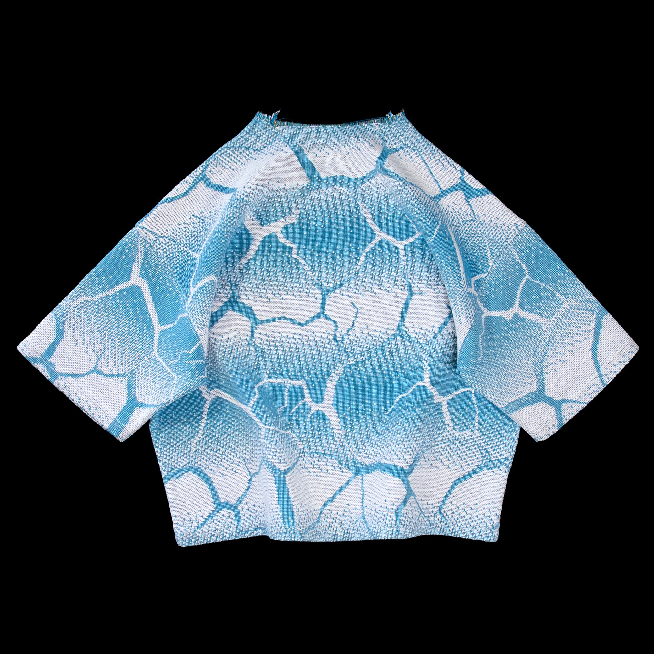 Biomorph Light blue gradient tapestry tee